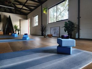 Cooks River Yoga at the RCC Clubhouse